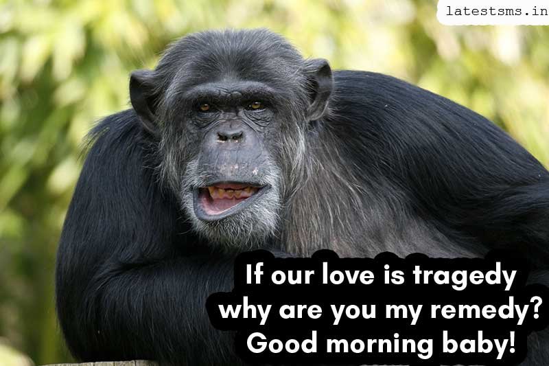 Funny good morning texts to make her laugh