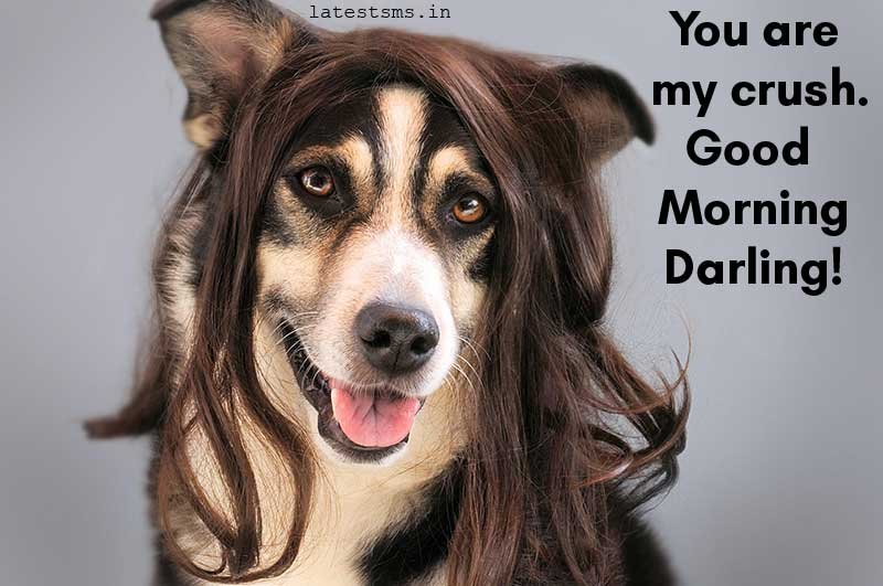 funny good morning texts for your boyfriend to make him smile