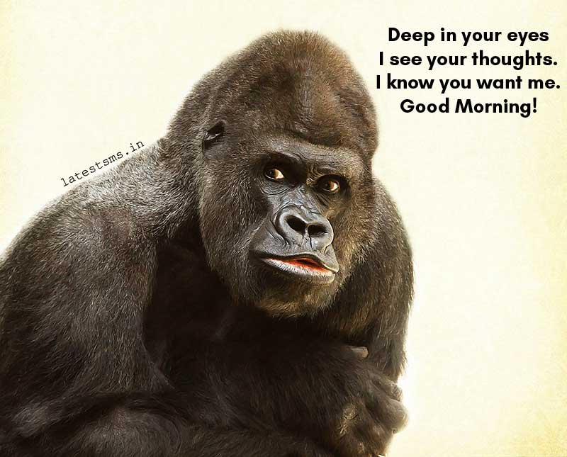 funny good morning texts for your crush