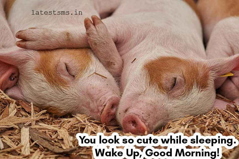 funny good morning texts