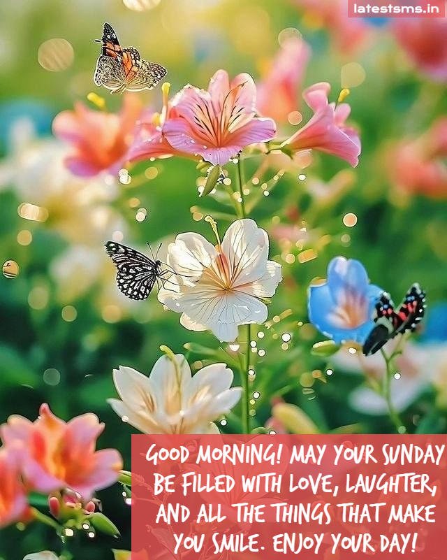 happy sunday good morning hd images