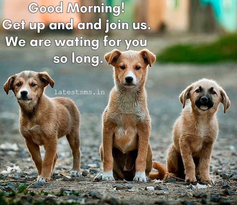 good morning images for whatsapp