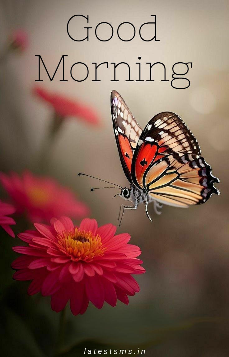 good morning images new
