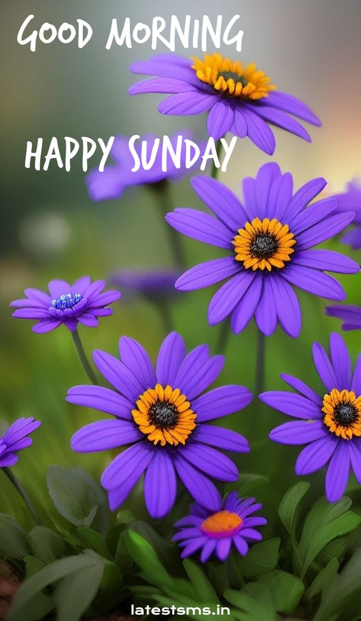 good morning images sunday special