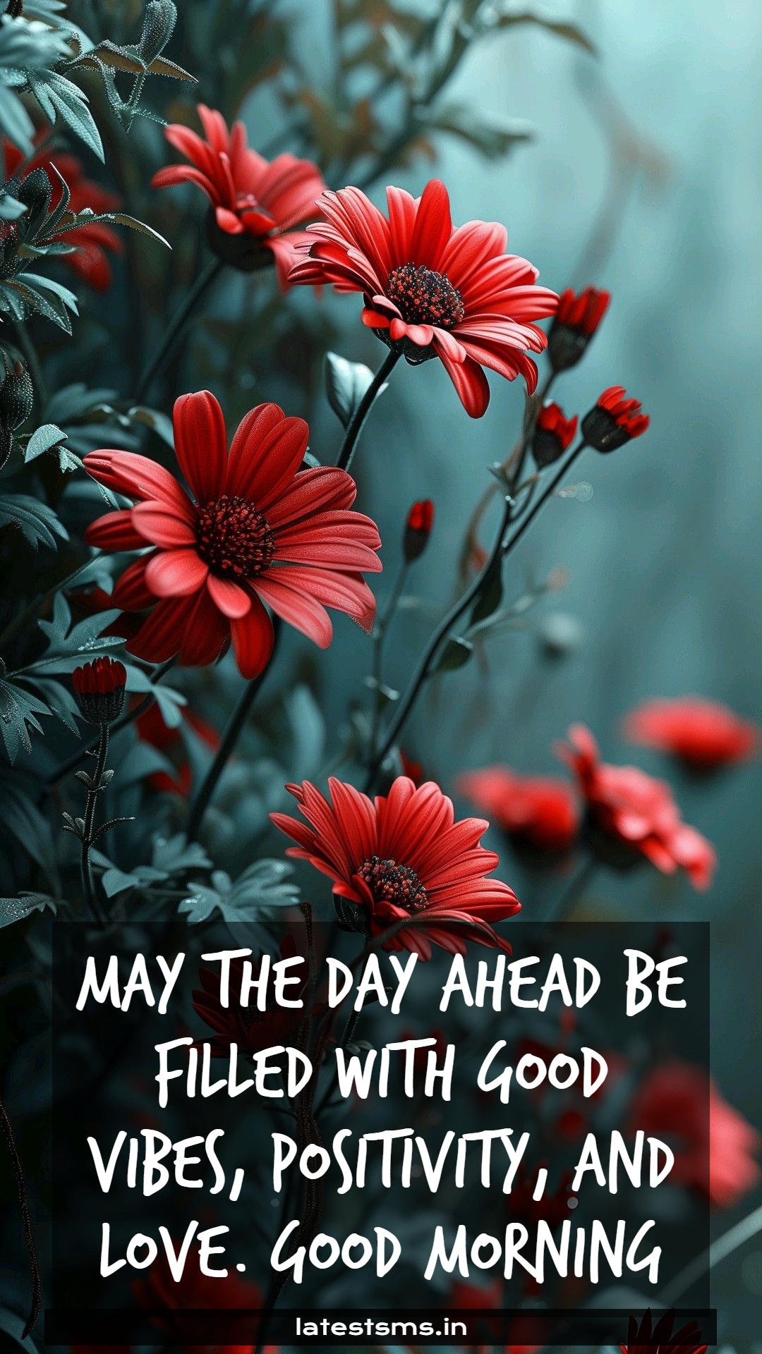 hd good morning images