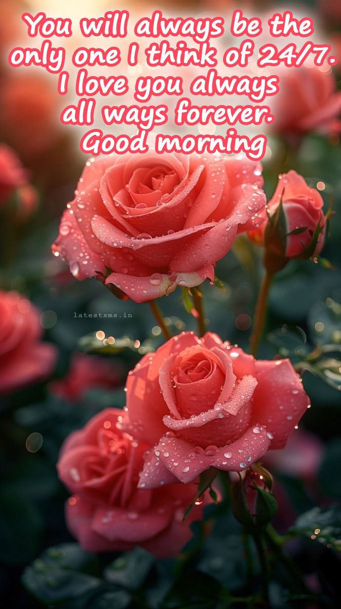 Good morning my love