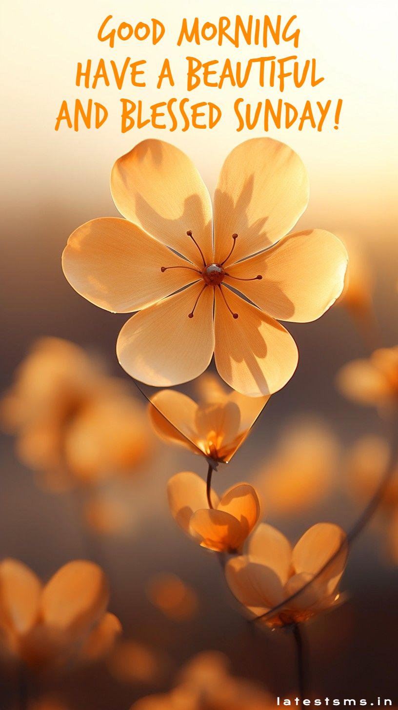 happy sunday good morning wishes