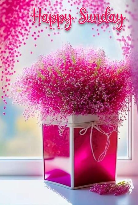 happy sunday wishes and images