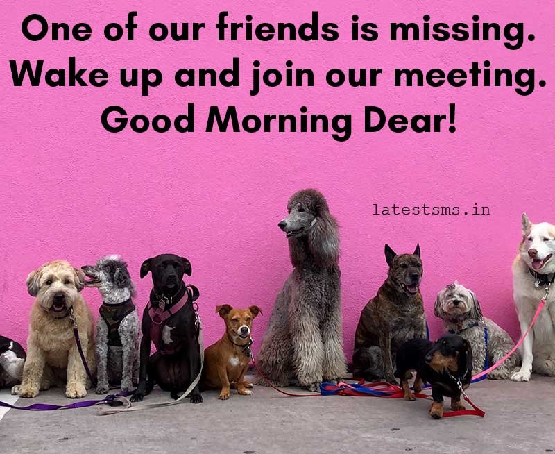 Best funny morning text for friend