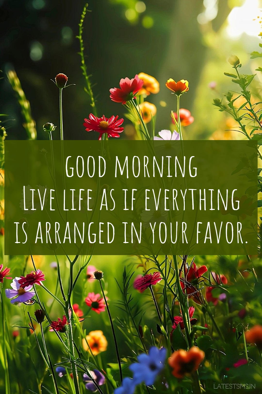 inspiring good morning image with quotes for whatsapp