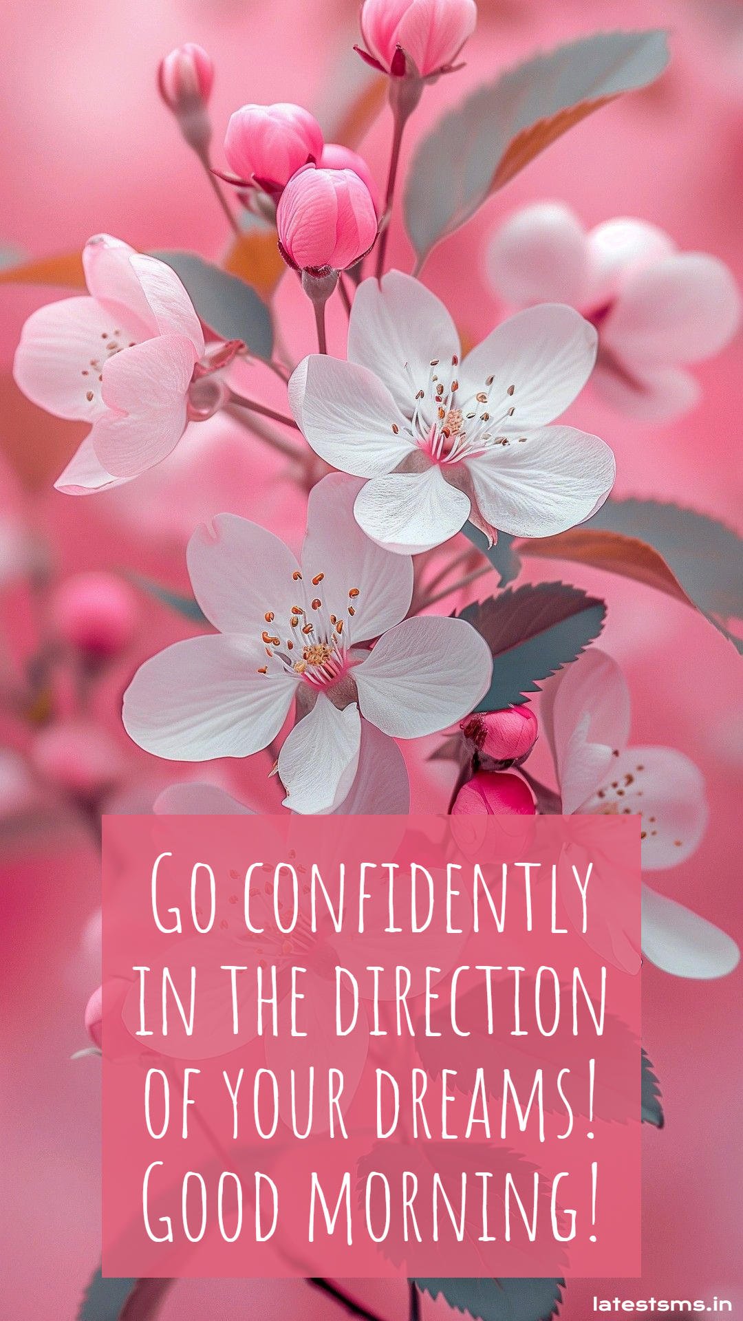 inspiring good morning images with quotes for whatsapp