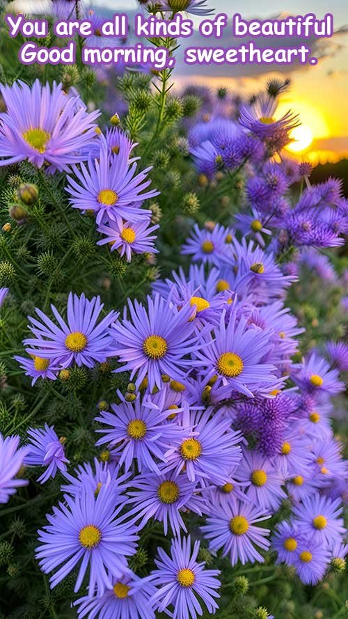 Love beautiful good morning wishes