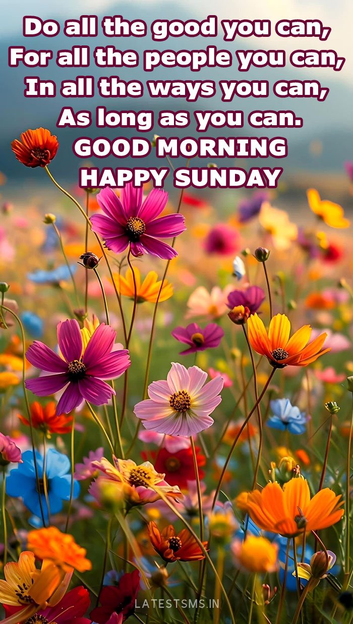 nature good morning happy sunday