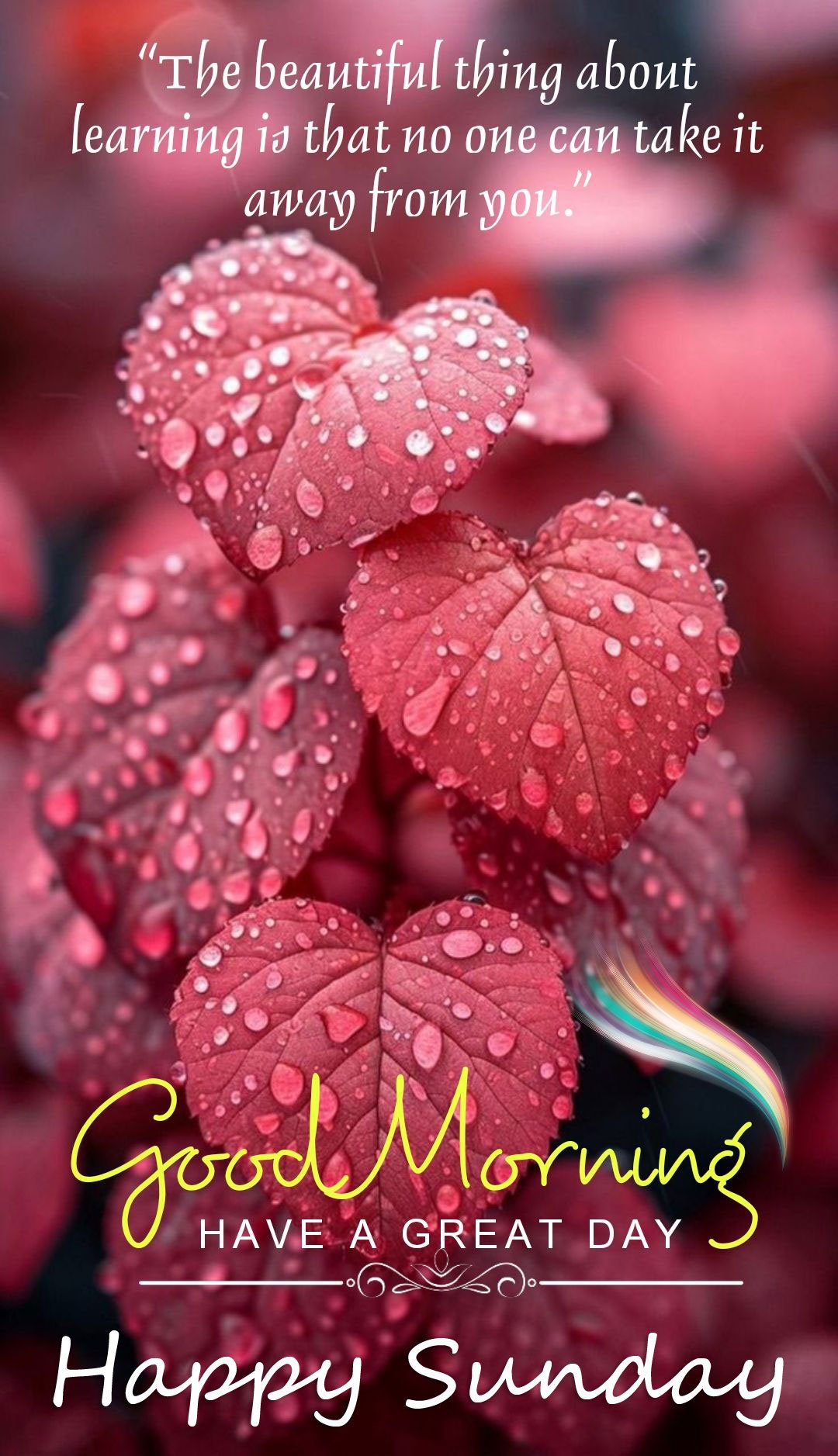 Quote happy sunday hd images