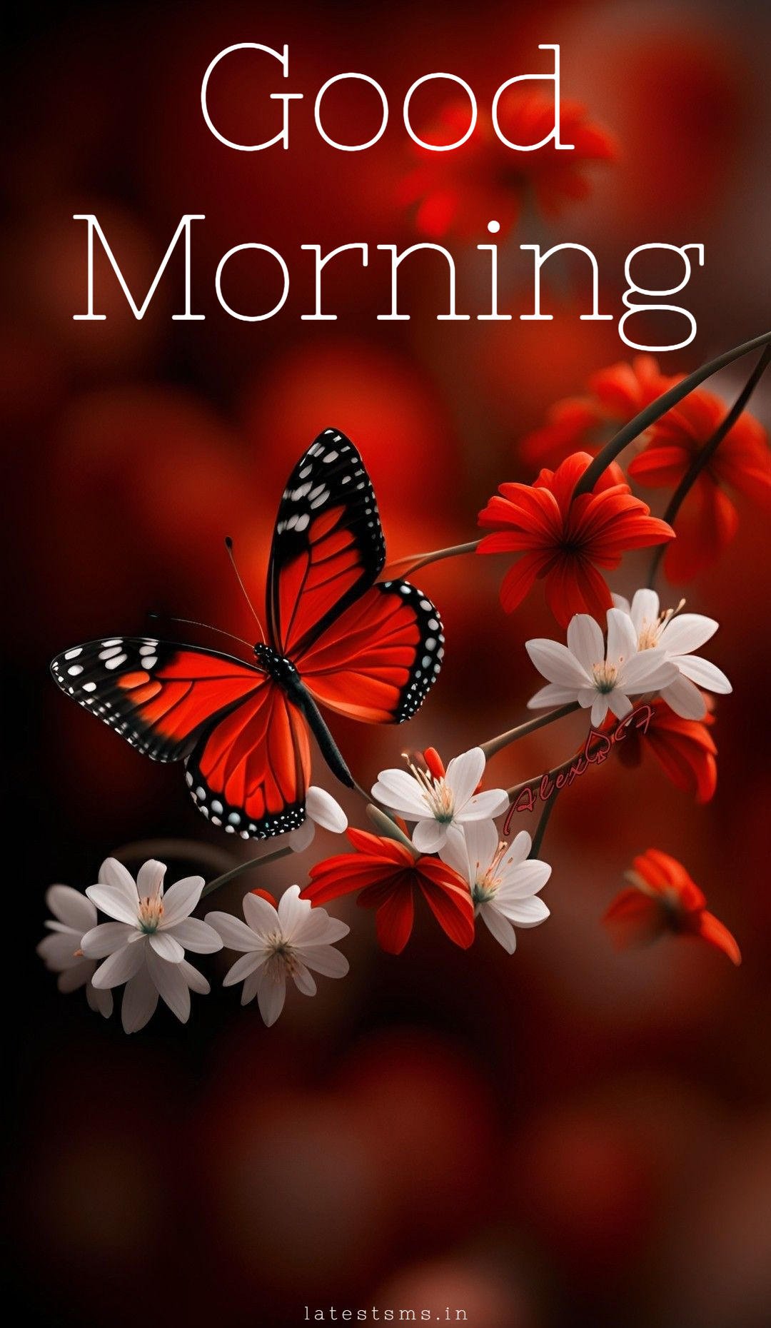 today special good morning images