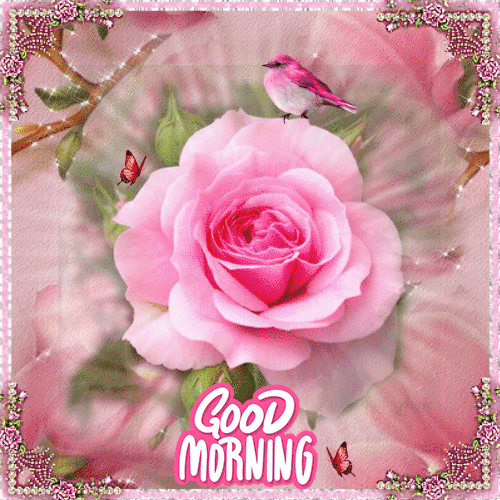 beautiful good morning gif love