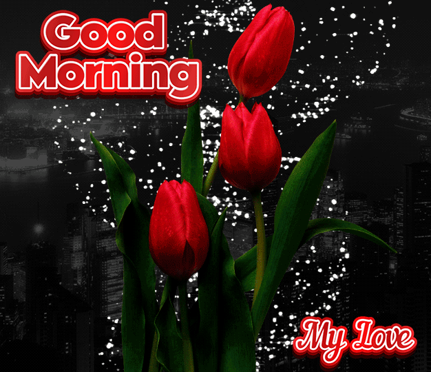 Cute Good Moring My Love GIFs