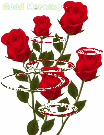 Cute Rose Good Morning Gif