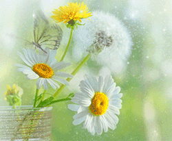 good morning gif whatsapp