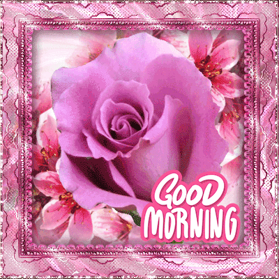 Good Morning wishes gif