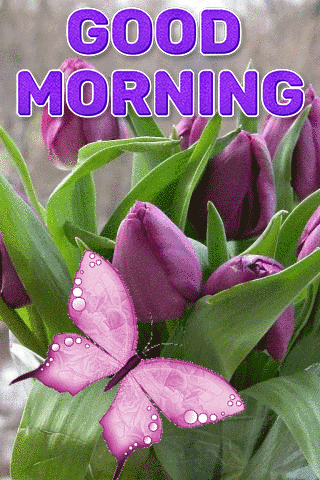 New good morning gif