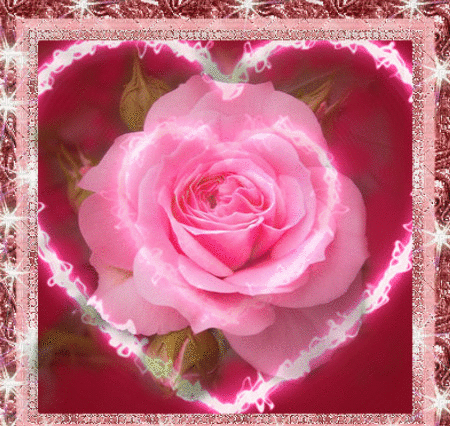 Valentines day gif for whatsapp